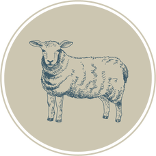 The Pasture ND Lamb